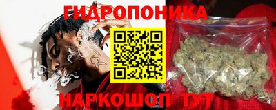индика Чапаевск