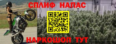 индика Чапаевск