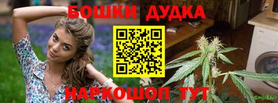 индика Чапаевск