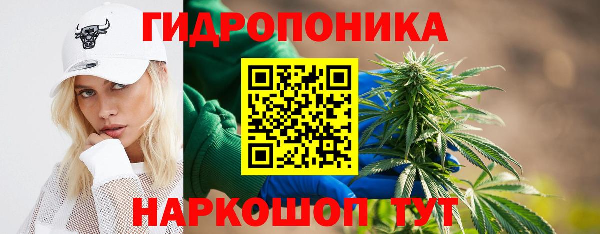 Каннабис тримм  Бошки марихуана план  Белая Калитва  Вход с VPN  Канабис Bruce Banner 